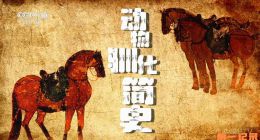 《动物驯化简史》2025.中国.动物[TS][1080i][央视中文][全5集]