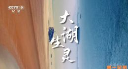 《大湖生灵》2026.中国.生态[TS][1080i][央视中文][全2集]