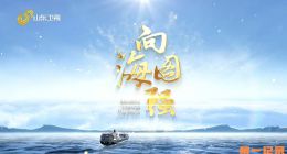 《向海图强》2025.中国.专题[TS][1080i][国语中字][全4集]