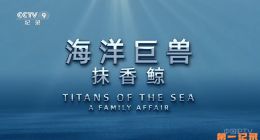 《海洋巨兽-抹香鲸》2021.法国.自然[TS][1080i][央视国配][全1集]