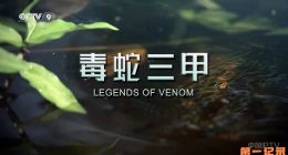 《毒蛇三甲》2023.美国.动物[TS][1080i][央视国配][全3集]