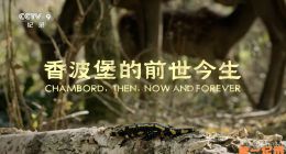 《香波堡的前世今生》2019.法国.建筑[TS][1080i][央视国配][全1集]