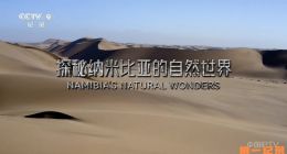 《探秘纳米比亚的自然世界》2023.德国.自然[TS][1080i][央视国配][全2集]