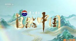 《自然中国之山水工程》2025.中国.自然[TS][1080i][央视中文][全7集]