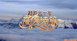 《辉煌六十年：高原诗篇》2025.中国.政论[TS][1080i][央视中文][全6集]