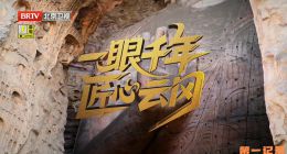 《一眼千年匠心云冈》2025.中国.艺术[TS][1080i][央视中文][全2集]