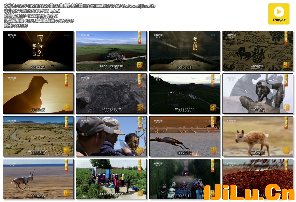 CCTV-10.20190527.第248集.青海都兰篇.HDTV.1080i.H264.AAC-One[www.1jilu.cn].ts.jpg
