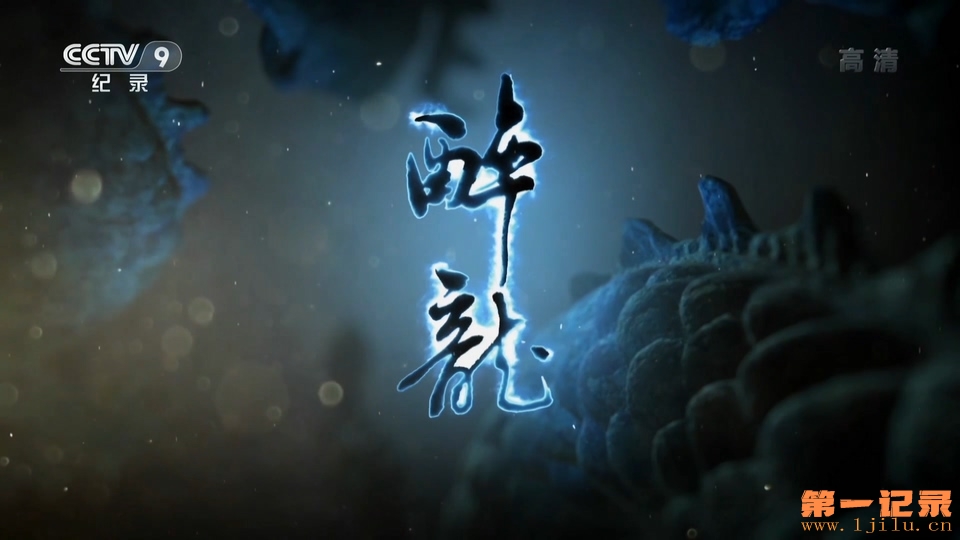 醉龙(2017).jpg