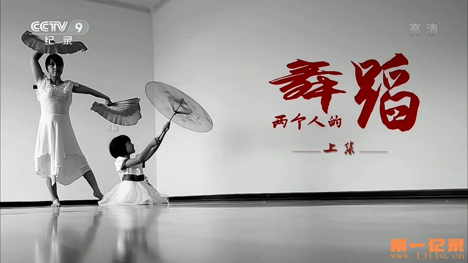 活力中国 两个人的舞蹈(2016).jpg