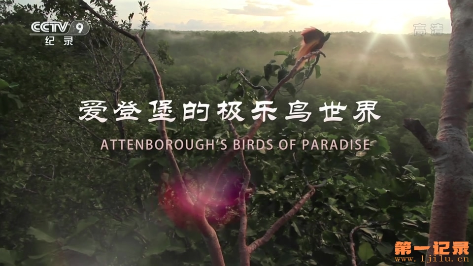 爱登堡的极乐鸟世界 Attenborough's Paradise Birds (2015).jpg