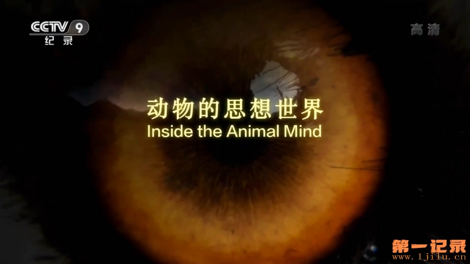 动物的思想世界(2018).jpg