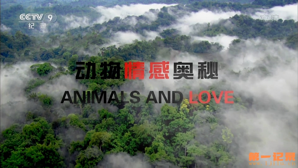 动物情感奥秘 Animals and Love (2015).jpg