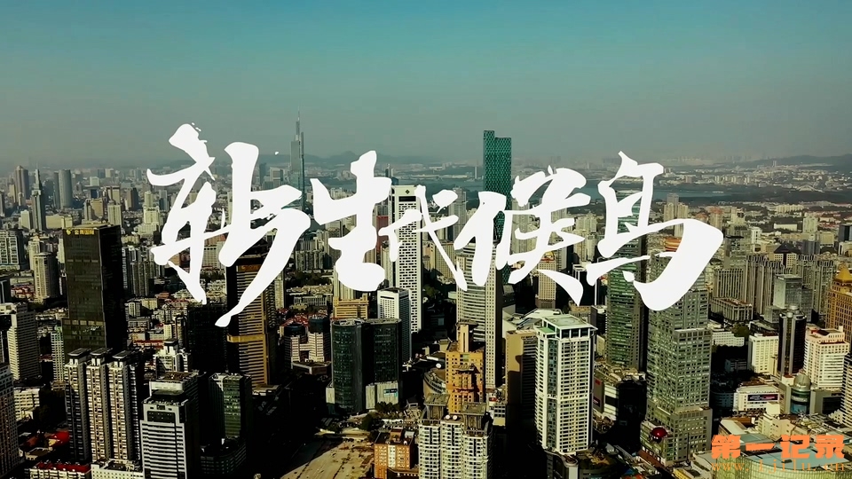 新生代候鸟(2019).jpg