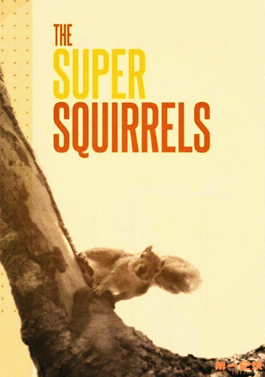 Natural_World_Super_Squirrels-872187452-large.jpg