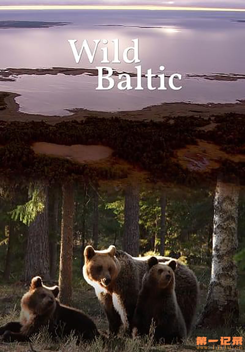 Wild Baltic.jpg