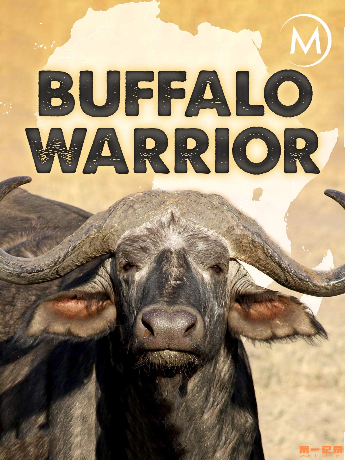 National Geographic Buffalo Warrior (2010).jpg