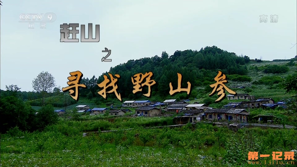 第1集：寻找野山参.ts.jpg