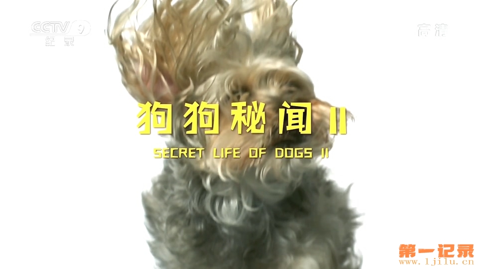 狗狗秘闻 第二季(2017).jpg