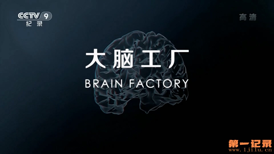 大脑工厂(2017).jpg
