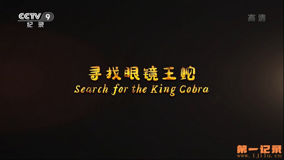 寻找眼镜王蛇(2015).jpg
