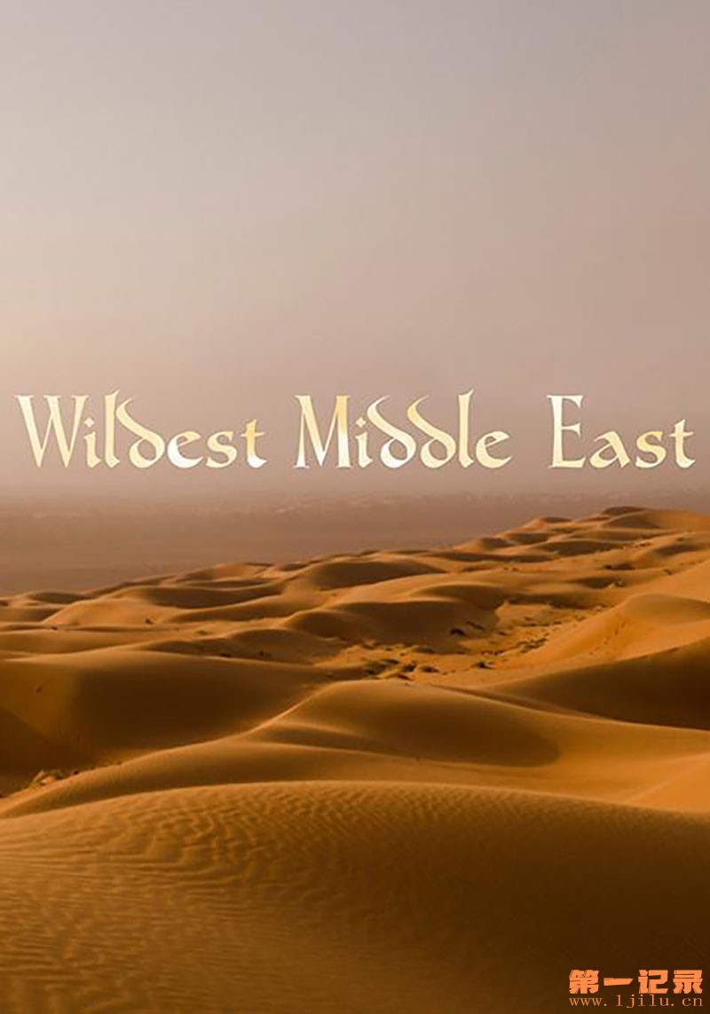 中东野生大地 Wildest Middle East2015.jpg