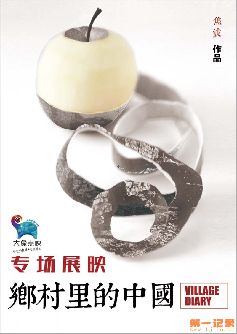 乡村里的中国 2013.jpg