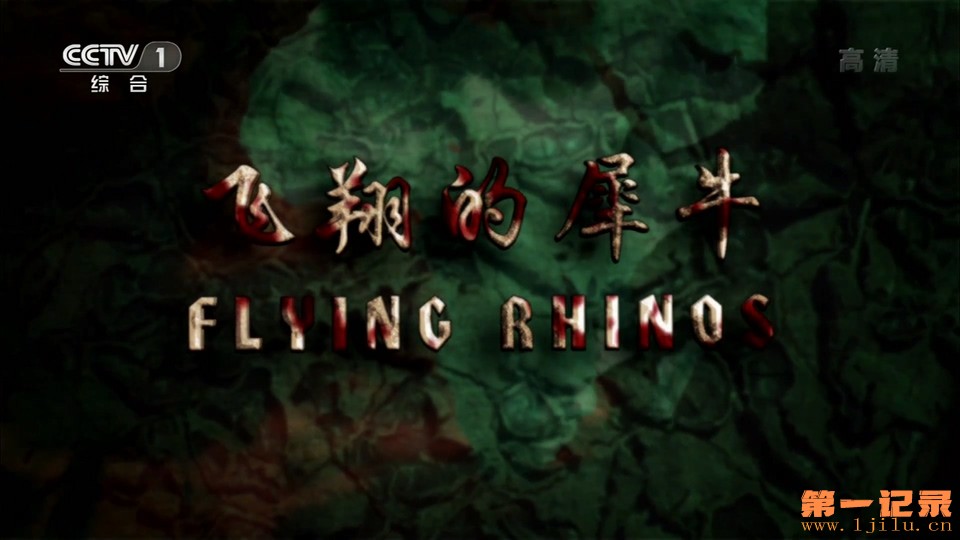 飞翔的犀牛(2013).jpg