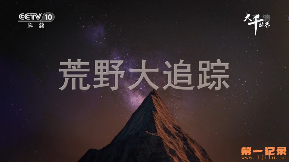 荒野大追踪(2020).jpg