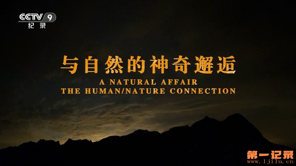 与自然的神奇邂逅(2019).jpg
