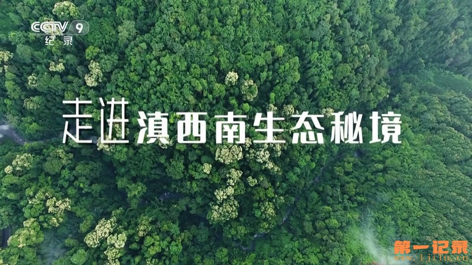 走进滇西南生态秘境(2023).jpg