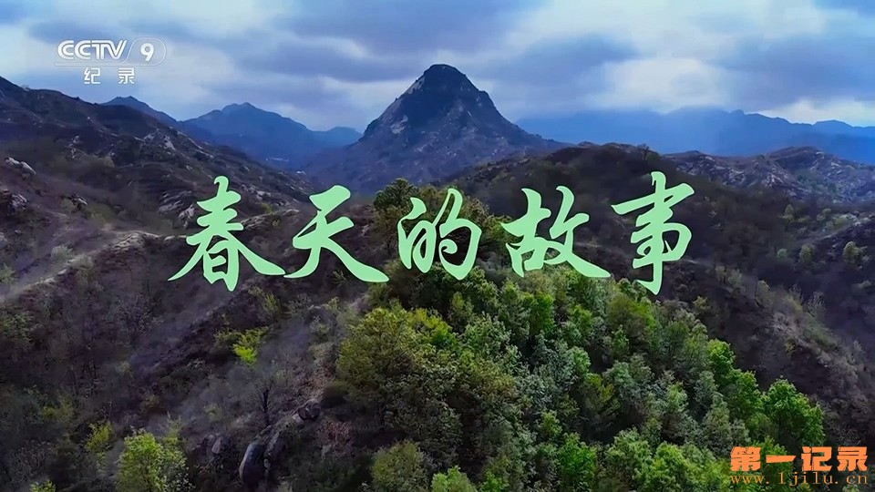 春天的故事(2023).jpg