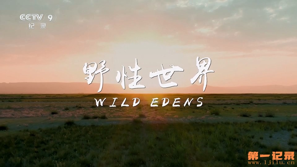 野性世界(2018).jpg