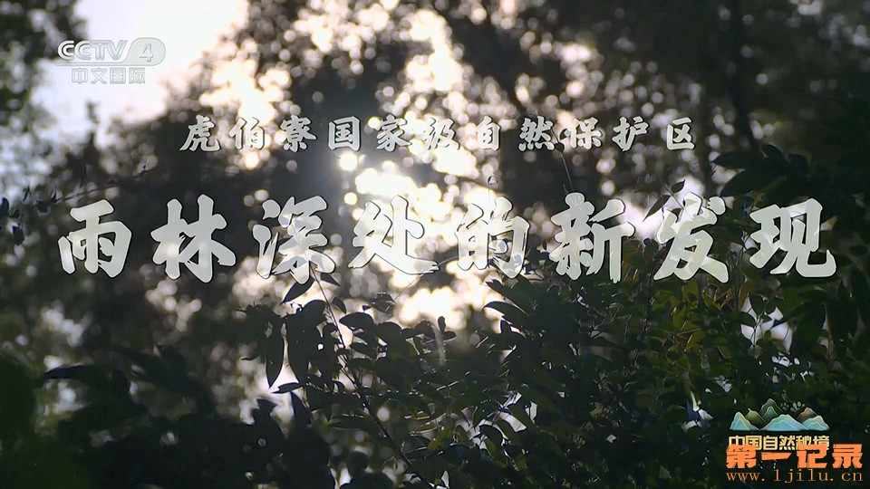 中国自然秘境 41.jpg