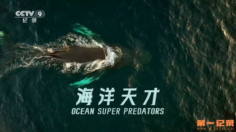 海洋天才(2021).jpg