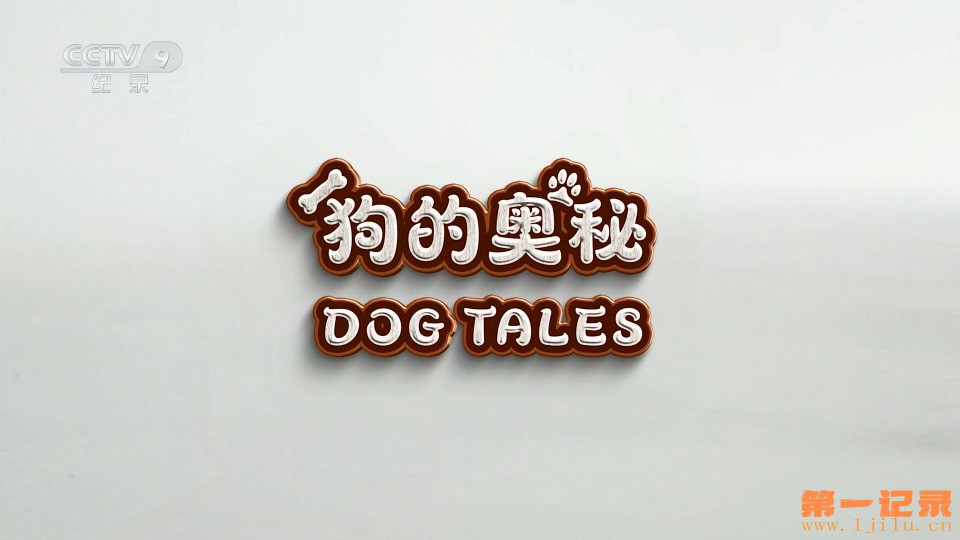 狗的奥秘(2020).jpg