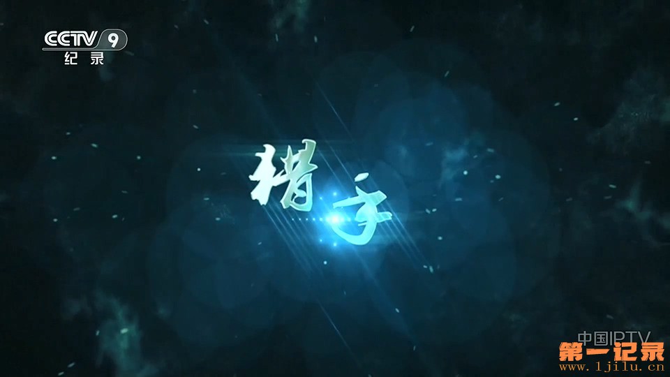 猎手(2025).jpg