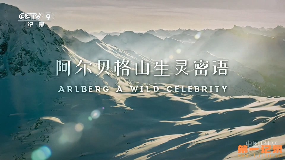 阿尔贝格山生灵密语(2023).jpg