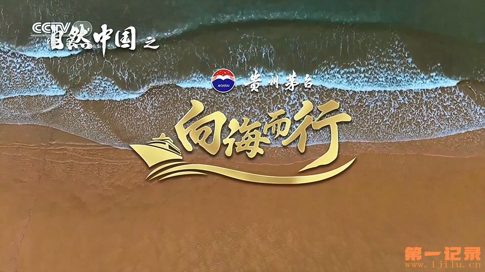 自然中国之向海而行(2025).jpg