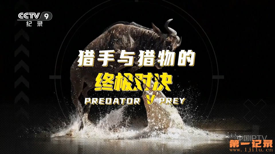 猎手与猎物的终极对决(2024).jpg
