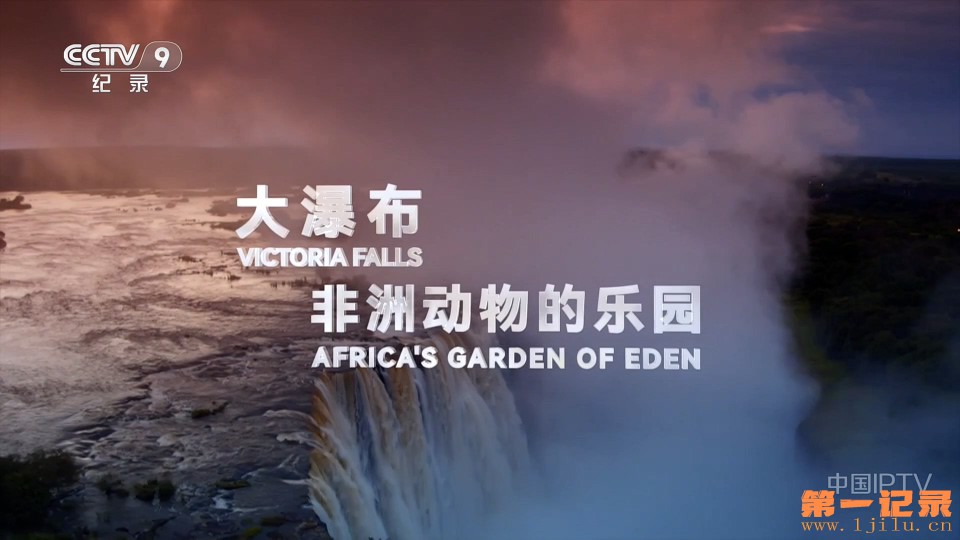 大瀑布——非洲动物的乐园(2020).jpg