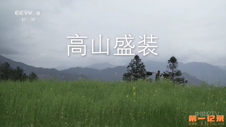 高山盛装 (2025).jpg