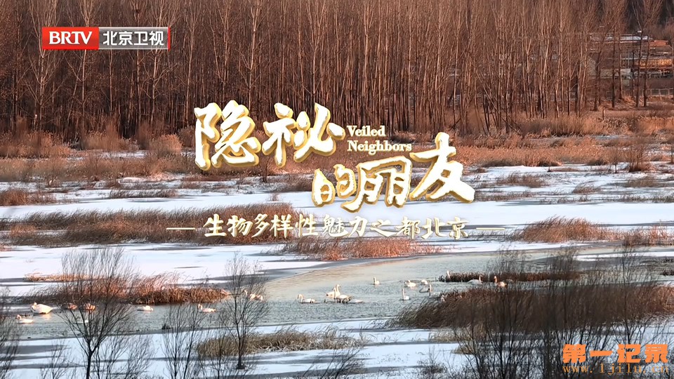 隐秘的朋友(2026).jpg