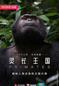 《灵长王国》2020.英国.自然[MKV][1080p][中英字幕][全3集]