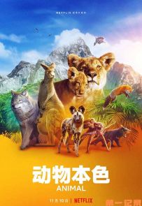 《动物本色》2021.美国.动物[MKV][1080p][英语中字][全4集]