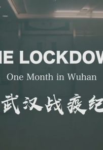《武汉战疫记》2020.中国.社会[MKV][1080P][英语中字][全1集]