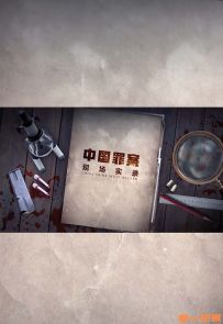 《中国罪案现场实录》2019.中国.犯罪[MP4][1080P][国语中字][全12集]