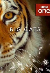 《大猫 Big Cats》2018.英国.动物[TS][1080i][英语中字][全3集]