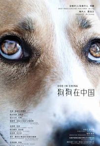 《狗狗在中国》2016.中国.动物[MP4][中文][1080P][全7集]