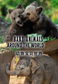 《动物宝贝世界》2017.澳大利亚.动物[MKV][1080p][中英双语][全10集]