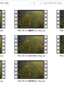 《风味人间 第二季》 全8集 【mp4/4K/16.7G】